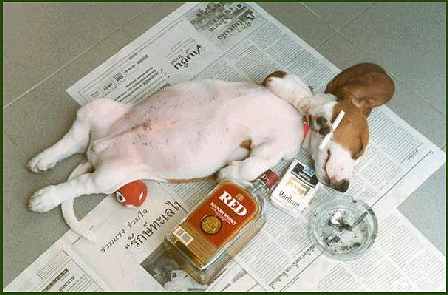 Winding Down After A Hard Day's Work